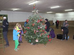 img_0668_web